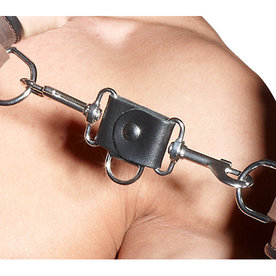 Doppel-Karabinerhaken